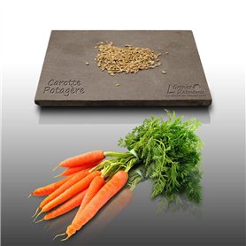 500 graines à semer - Le Grenier d'Abondance - CAROTTE Nantaise Améliorée 3 - Daucus Carota