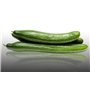 25 graines à semer - Le Grenier d'Abondance - CONCOMBRE Long Anglais - Cucumis sativus