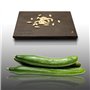 25 graines à semer - Le Grenier d'Abondance - CONCOMBRE Long Anglais - Cucumis sativus