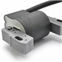 Easyboost bobine d'allumage pour tracteur tondeuse Briggs & Stratton 10 à 14 cv Vanguard & V Twin 9cv - 12,5 cv - 14 cv, OHV 12