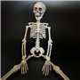 THE REPLICANT Squelette à Suspendre en Plastique/Hauteur : 40 cm