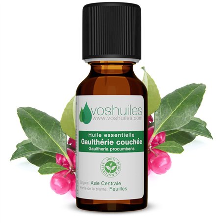 Huile Essentielle de Gaulthérie Couchée -100% Pure et Naturelle - HEBBD - Utilisation en Massage dans Huile Végétale - Parfum Tr