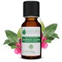 Huile Essentielle de Gaulthérie Couchée -100% Pure et Naturelle - HEBBD - Utilisation en Massage dans Huile Végétale - Parfum Tr
