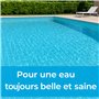 Algicide Anti-Algues Choc Piscine 1L | Rattrapage Eau Verte & Eaux Troubles | Double Action Préventive & Curative | Stop Algues 