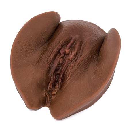 Bivea | Modèle pédagogique pour l'anatomie de la vulve | Vulve mutilée en silicone (peau foncée)
