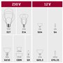 Paulmann 29154 Standard 230 V Smart Home Zigbee LED sphérique E14 3x470lm 3x5W RGBW+ gradable Dépoli Kit