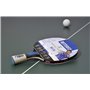 Butterfly Marcos Freitas MFX4 Raquette de Tennis de Table en Caoutchouc Wakaba 1,5 mm