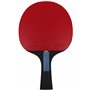 Butterfly Raquette de Tennis de Table Dimitrij Ovtcharov Sapphire | Technologie EVA | Revêtement Addoy certifié ITTF 2,1 mm | po