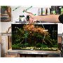 Dennerle Nano Aspirateur de boue - Nettoyeur de Gravier pour Aquarium, avec limiteur de débit et support de tuyau