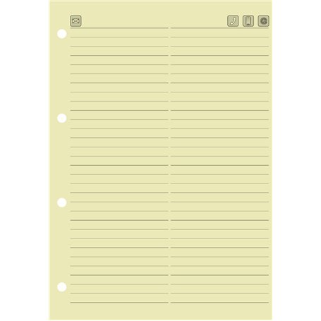 Baier schneider &insert recharge pour répertoire jaune 149 de 100 x 212 mm