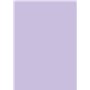 Brunnen 105122560 Lot de 25 feuilles de papier multi-usages Lilas 160 g/m² A4