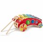 Bieco Xylophone Bebe 1 An | Xylophone Enfant | Trotteur en Bois | Jouet a Tirer | Apprendre a Marcher pour Bebe Chariot de March