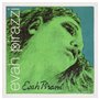 Pirastro Evah Pirazzi 313221 Cordes pour violon 4/4 Tension moyenne Acier