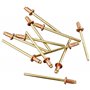 Connex COXT197306 Rivets borgnes en Cuivre/Bronze