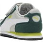 Cool Light Gray White-Dark Myrtle-Lime Smash