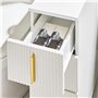 SoBuy Armoire Toilettes WC Support Papier Toilette Meuble de Salle de Bain, Armoire de Salle de Bain sur roulettes, 1 Porte-Bros