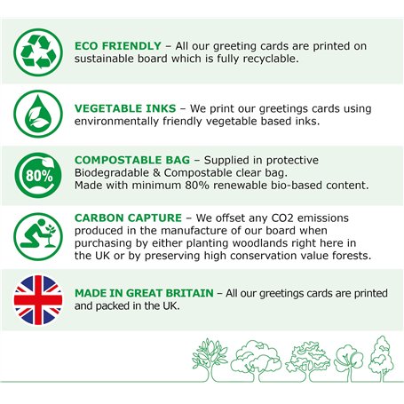 IPOTOOLS FLUX-135 Poste à souder fil fourré sans gaz - 135 A FLUX Poste à souder inverter sans gaz pour poste à souder fil fourr