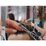 Ciseaux à effiler Qualité supérieure Ciseaux à cheveux avec étui Ciseaux de coiffeur pour éclaircir les cheveux Ciseaux d'effila
