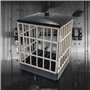 Mad Monkey Prison pour Portable avec minuterie et clé - La Solution Ultime pour Les accros du Portable