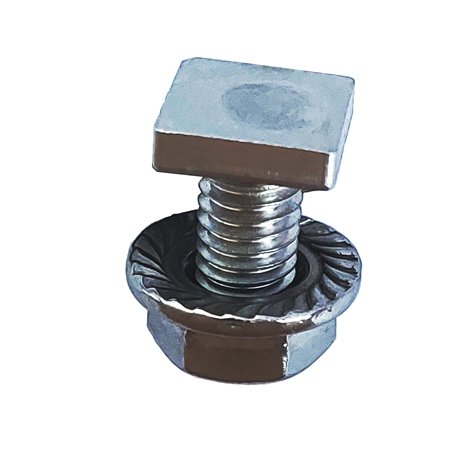 GAO Flora 50 Vis Carrées Inox M6x12 pour Vis à Effet de Serre