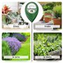 Meine Orangerie Humidimètre pour plantes - Humidimètre du sol pour plantes en pot et d'intérieur - Il suffit de lire l'humidité 