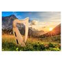 Classic Cantabile Harpe celtique 12 cordes - Harpe instrument de musique en bois de frêne - Avec 2 clés d'accord et sac