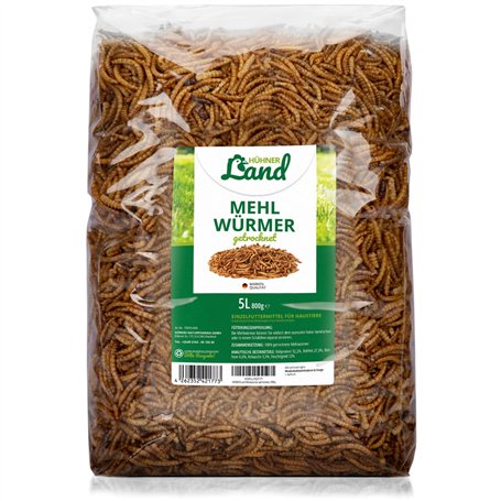 HÜHNER Land I festin de vers de Farine