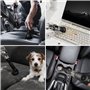 LEBENLANG Aspirateur Voiture Puissant sans Fil 17000PA - INCL. Batterie puissante & Support avec Fonction de Charge I Aspirateur