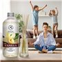 Recharge pour Diffuseur de Vanille 500ml - Diffuseur Parfum Maison - Recharge de Diffuseur de Vanille Parfumée - Parfum Frais et