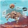 UGEARS Hexapod Explorer Puzzle 3D - Kits de modèle de Robot araignée mécanique Cadeau de fête des pères pour Adultes Puzzles en 