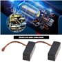 eMagTech 2 Paires de Balais de Charbon de Moteur pour Moteurs d'outils Électriques 7x8x19mm Accessoires pour Outils Électriques 