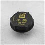 ECSiNG Bouchon de Réservoir d'eau Expansion de Radiateur DG938101AA 1301104 1224233 3M5H-8100-AD LF5015205A 30680002 Remplacemen