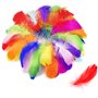 volumoon 100Pcs Plumes Colorées
