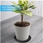 Vesaneae 6 Pièce Soucoupe Plante Plastique, 15cm Soucoupe Ronde en Plastique pour Pot de Fleur, Soucoupe pour Pot de Fleur, Plat