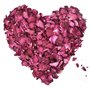 200g Pétales de Rose Véritables, Naturel Pétales de Roses pour Bain des Pieds Spa, Séchées Pétale Rouge de Fleur Confettis pour 
