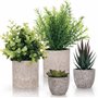 Winter Shore Plantes Artificielles Interieur (Lot 4) Petite Plante Artificielle Decoration Style Champetre - Fausse Plante en Po