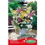 Germisem Cut Graines de Mélange de Fleurs 10 g EC1652 Multicolore
