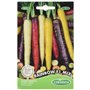 Germisem graines Carotte RAINBOW F1 MIX