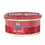 Désodorisant Pour Voiture Dr Marcus Aircan Fruits rouges 40 g Parfum Cannette