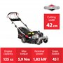 NAX POWER PRODUCTS 1000S moteur Briggs & Stratton série 450E 125 cm3 largeur de coupe 42 cm panier 45l système de lavage du boît