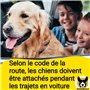 Hundefreund Ceinture de Sécurité pour Moyens et Grands Chiens – Harnais de Voiture Réglable avec Amortisseur – Sangle de Sécurit