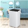 Turbionaire Senso N12 WIFI, Déshumidificateur, 12L/24h, Purification par ionisation, Extrêmement silencieux 38dB, 120m³/h, Filtr