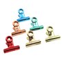Lot de 12 pinces multicolores en métal de 38 mm