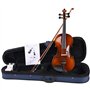 Aileen Violon 4/4 Adulte, Violin Débutant avec Aspect Antique Brillant