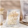 Xinzistar Fleur Sechees Naturel, Fleurs Sechees Blanche Vraies Fleurs Séchées Fleurs Pressées Séchées pour Scrapbooking Bougie B