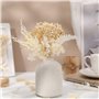 Xinzistar Fleur Sechees Naturel, Fleurs Sechees Blanche Vraies Fleurs Séchées Fleurs Pressées Séchées pour Scrapbooking Bougie B