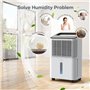 CONOPUPlus Deshumidificateur d air 16L/jour, Déshumidificateur de Chambre Ultra-silencieux, Contrôle Central Intelligent, Mode A