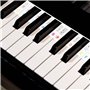 SULOLI 88 Touches Silicone Piano Sticker, Etiquettes de Notes de Piano Amovibles pour Toutes les Touches 88/61, Autocollants en 