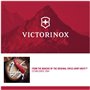 Victorinox pour Homme. Chronographe Automatique Montre avec Bracelet en Cuir 241818