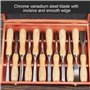 Lot de 12 Ciseaux de Sculpture sur Bois, Ensemble D'outils de Sculpture sur Bois Professionnels avec 12 Couteaux, Boîte de Range
